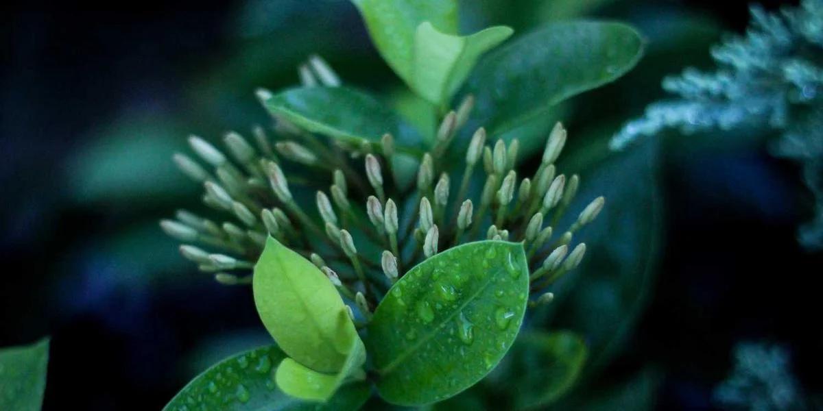 Reunificación de Deudas: ¿Cuándo Conviene?